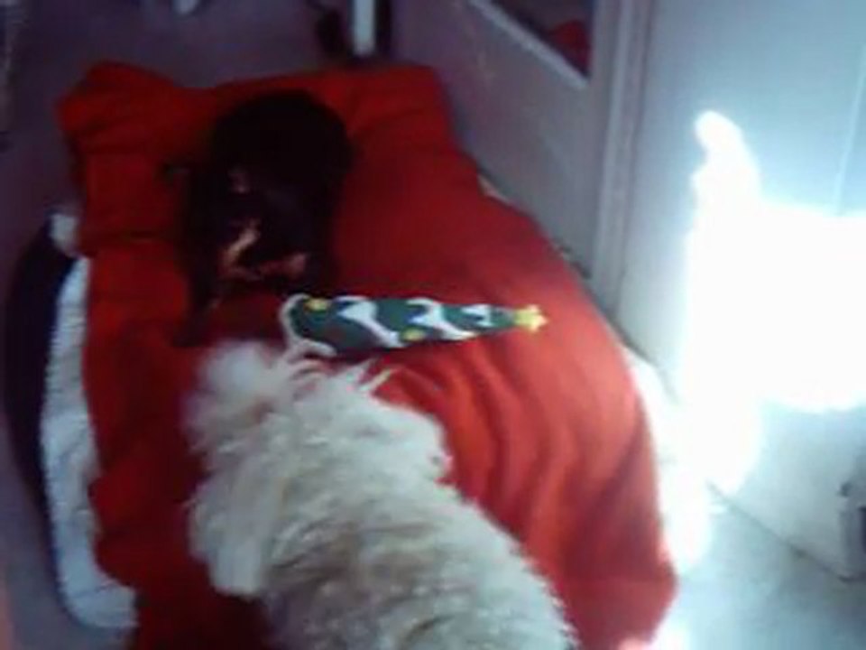 le 24 décembre 2011 Patriciap