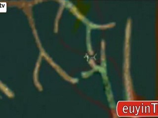 Divulgación científica (12-12-2011)