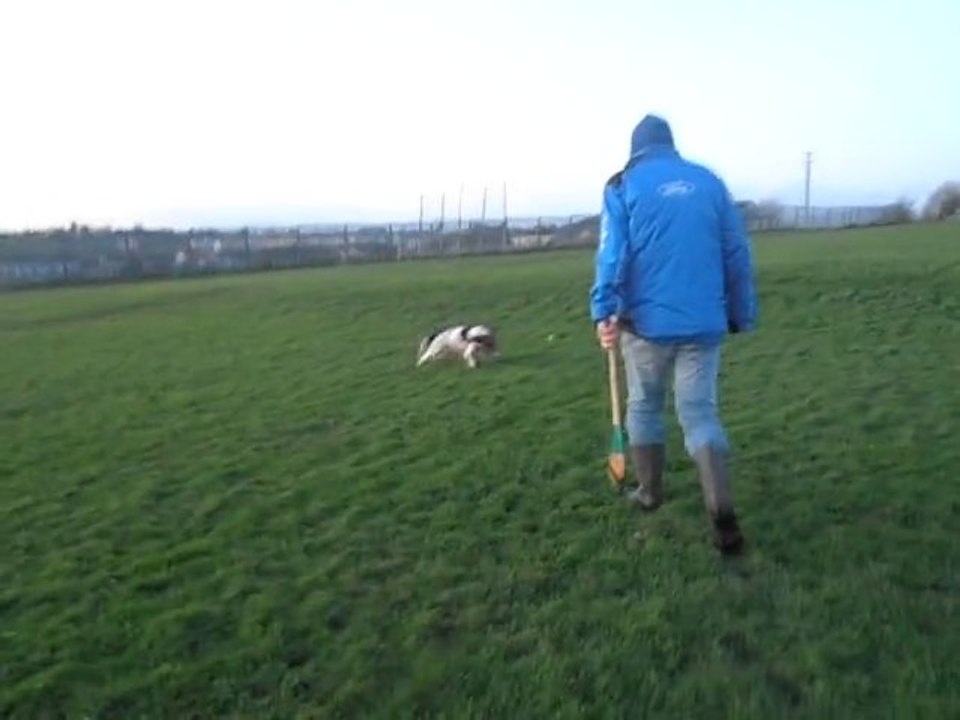 Toddie #2