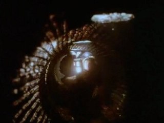 ÉGOUT - LIFE OF BRIAN