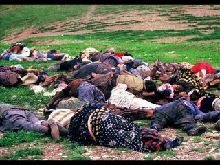 şiwan perver halepçe