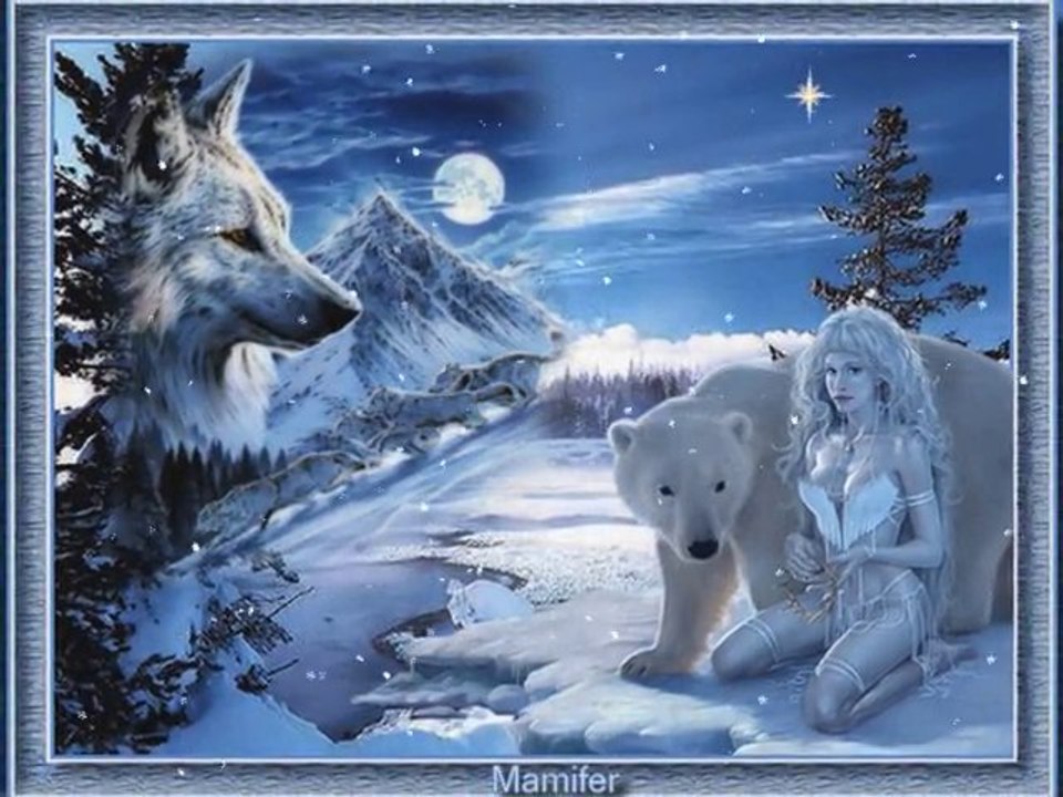 Joyeux Noel et Bonne Année