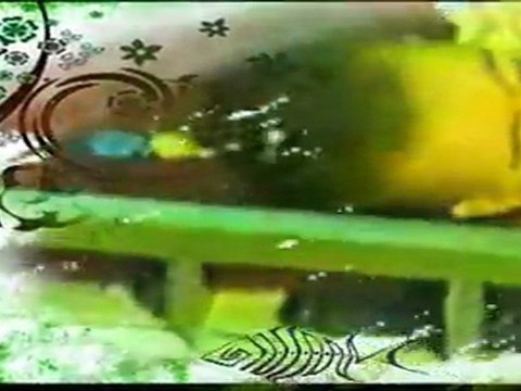 Grup Gezgin Fatma Han - Kerkük Türküsü