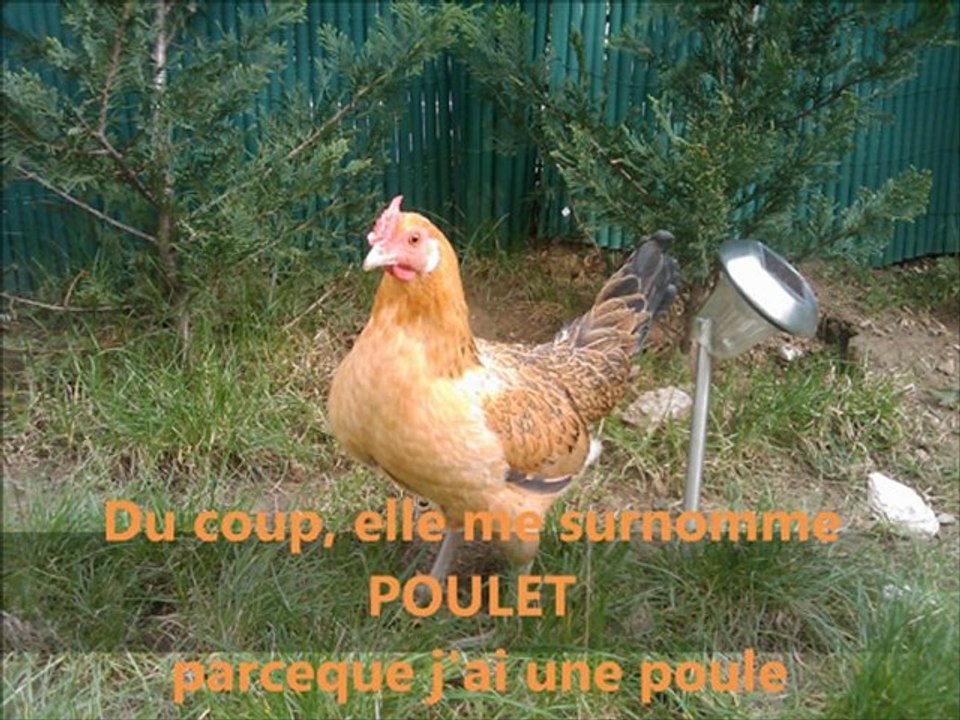Sandrine Sue