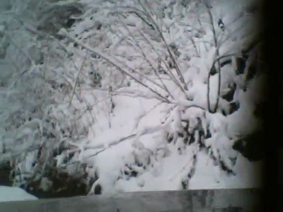 25_12_2011 VİDEO (1)
