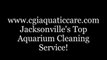 Jacksonville FL. Aquatic Care, Fish Aquariums 904.588.2700 Florida Aquariums.