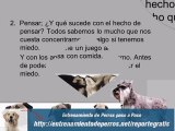 Los 7 Secretos Mejor Guardados del Adiestramiento Canino