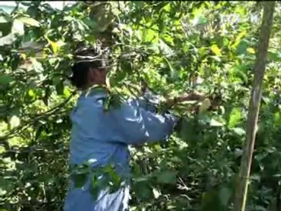 Nhịp đập thị trường 01.01.2012 TRUYỀN HÌNH THÔNG TẤN, TTXVN