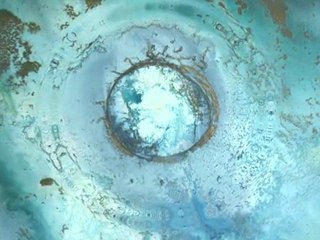 Chandigoriane "Voyages aux infinis"