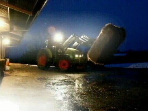 L'Elevage Salers retourne à la stabulation pour l'hivernage en Livradois