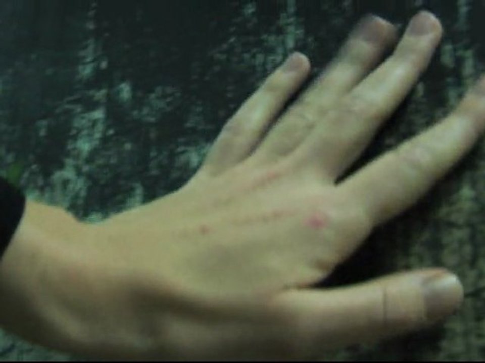 Teaser 2012 Tontons Filmeurs