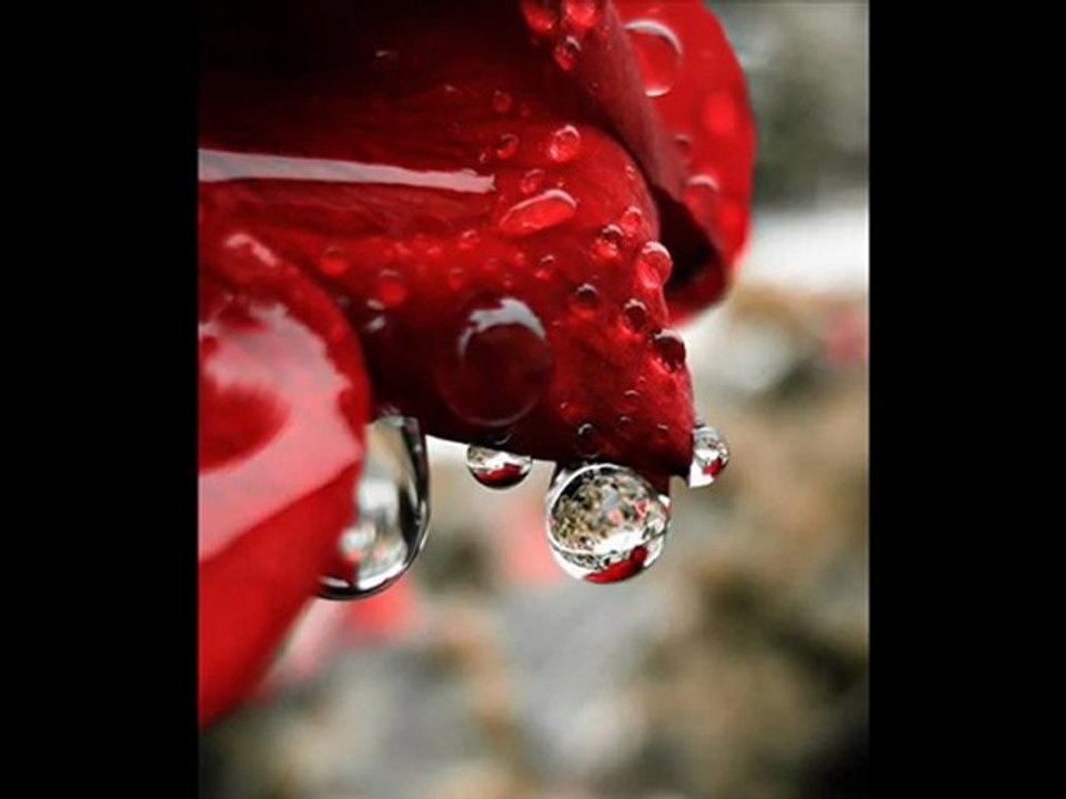 Yara Verdi (yar damardan kana girdi ) İbrahim Candan .... exelgo35