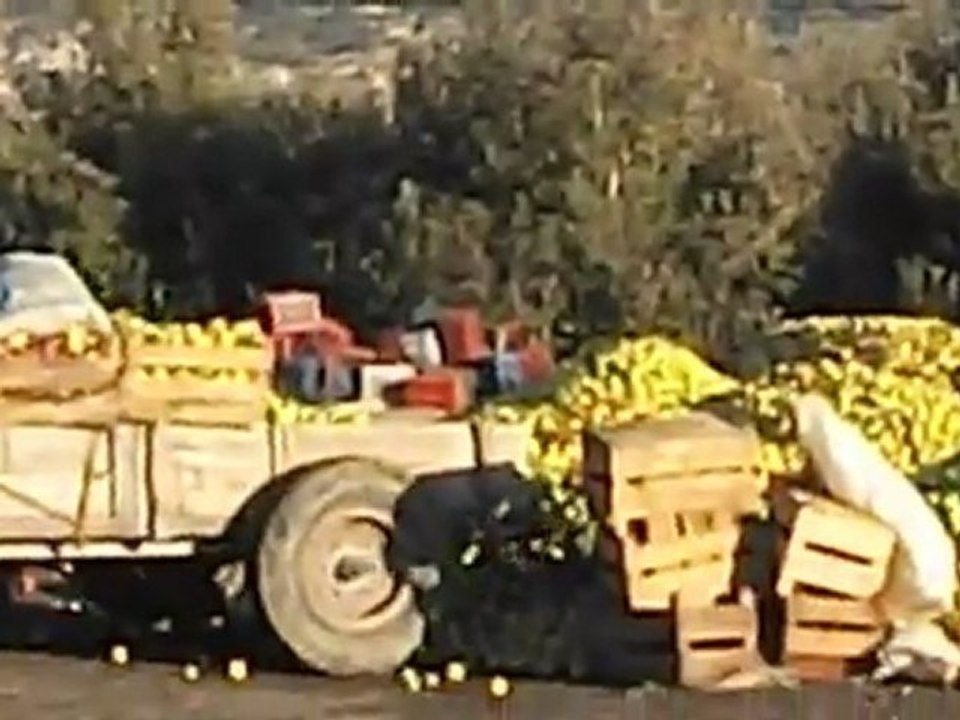 ELMADAĞI