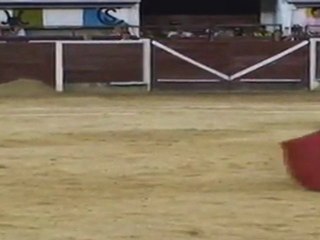 Sergio Flores abrió la puerta grande en Cali