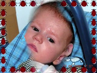 Ricardo Rocha&Paquito - Quando o meu filho nasceu