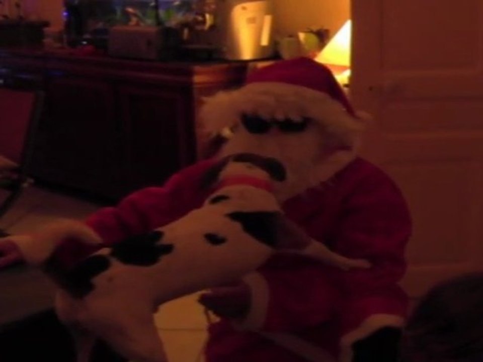 le chien amoureux du père noel