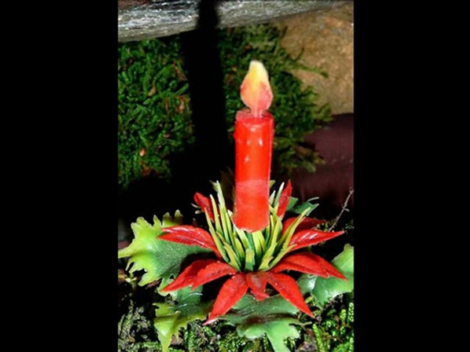 DIAPORAMA NOEL - NOUVEL AN - 2011 - 2012 - 2 R