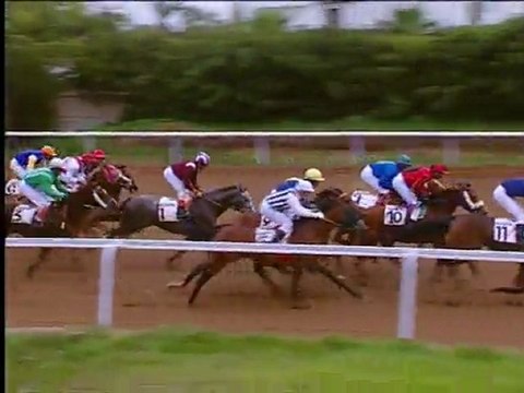 Grand Prix du Maghreb : 1e course - Prix des Poulains et Pouliches : Djarnizam Maamora