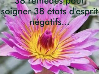 Santé par les Fleurs de Bach