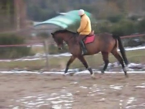 20111225 Top Model Monlet 01