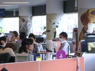 Pets também vão ao escritório