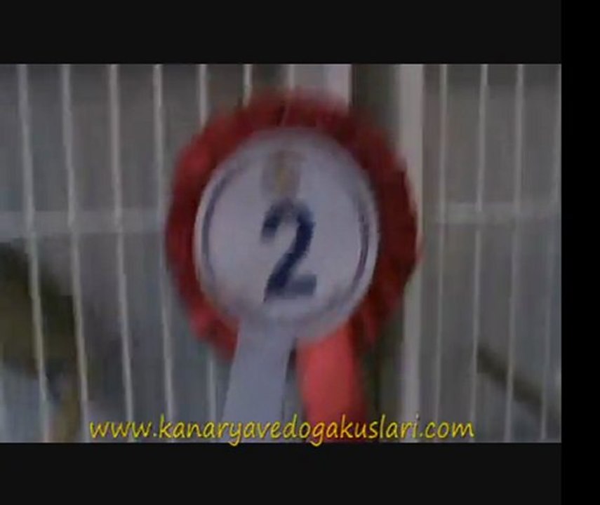 2011 Feshane 16.Türkiye Finali - Gloster