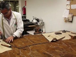 Artesanos de piel - Sonseca - Peletería Fernando Gómez