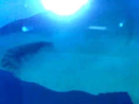 VID 00043-20110904-1039