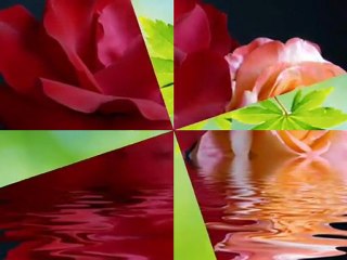 Bernhard Brink - Sag Ihr mal Danke