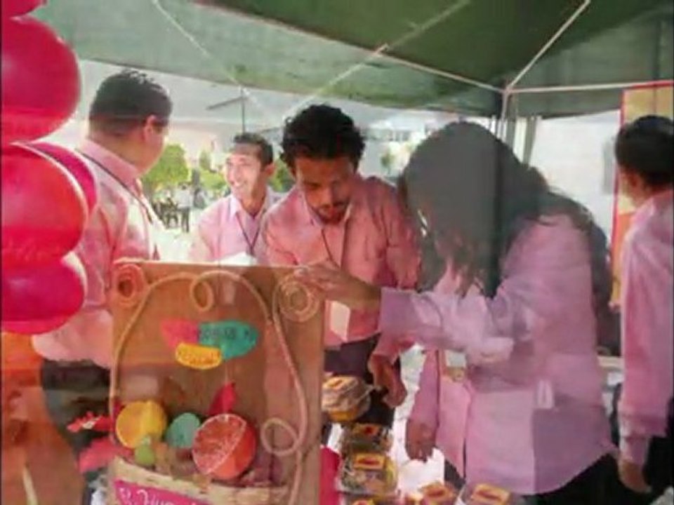 InterCrea Ocotlan 2011B