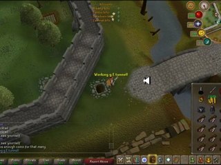 RuneScape Private Server