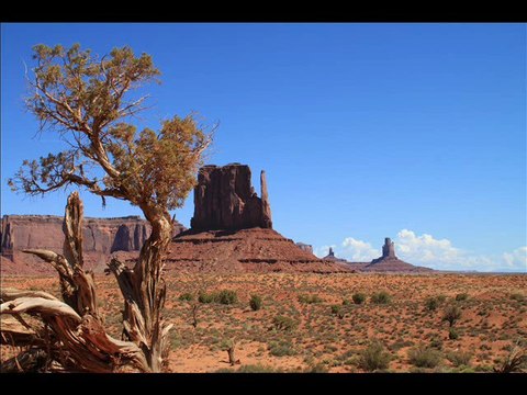 Grands parcs de l'Ouest des USA. Juillet et Août 2011