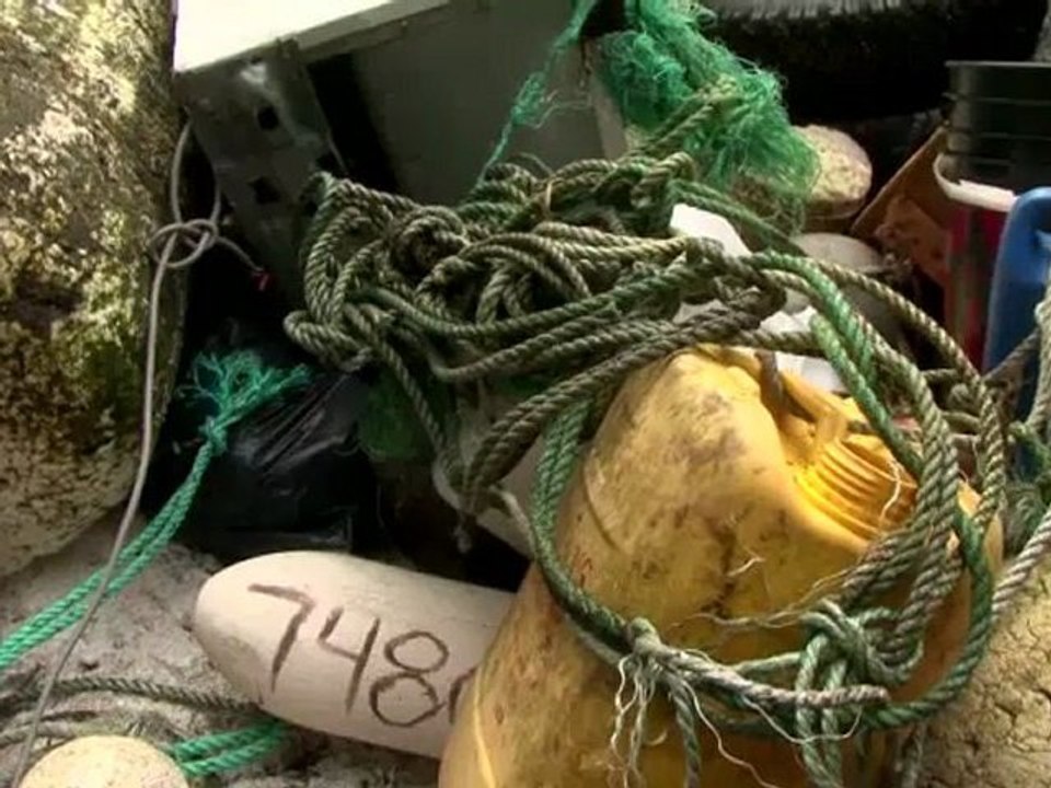 Tsunami japonais  : 20 millions de tonnes de débris s'échouent aux Etats-Unis