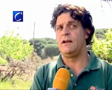 Nacen en cautividad las primeras crías de águila perdicera sin inseminación artificial