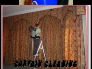 Carpet Cleaning Playa del Rey | 310-359-6369 | FREE Quotes