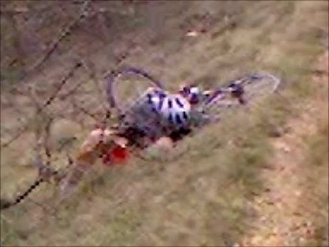 top 10 des plus grosse conneries