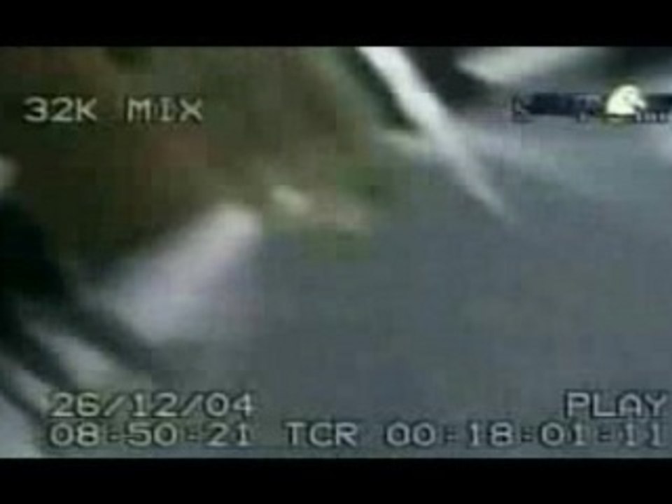 LE TSUNAMI