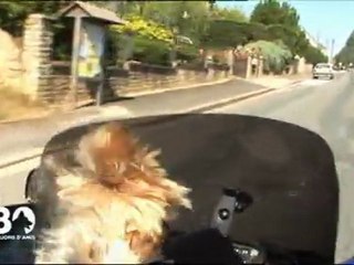 gracay 2011 les chiens motards