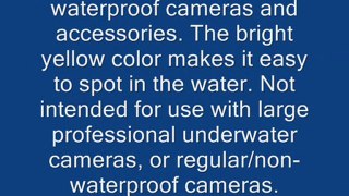 Chums Waterproof Camera Float