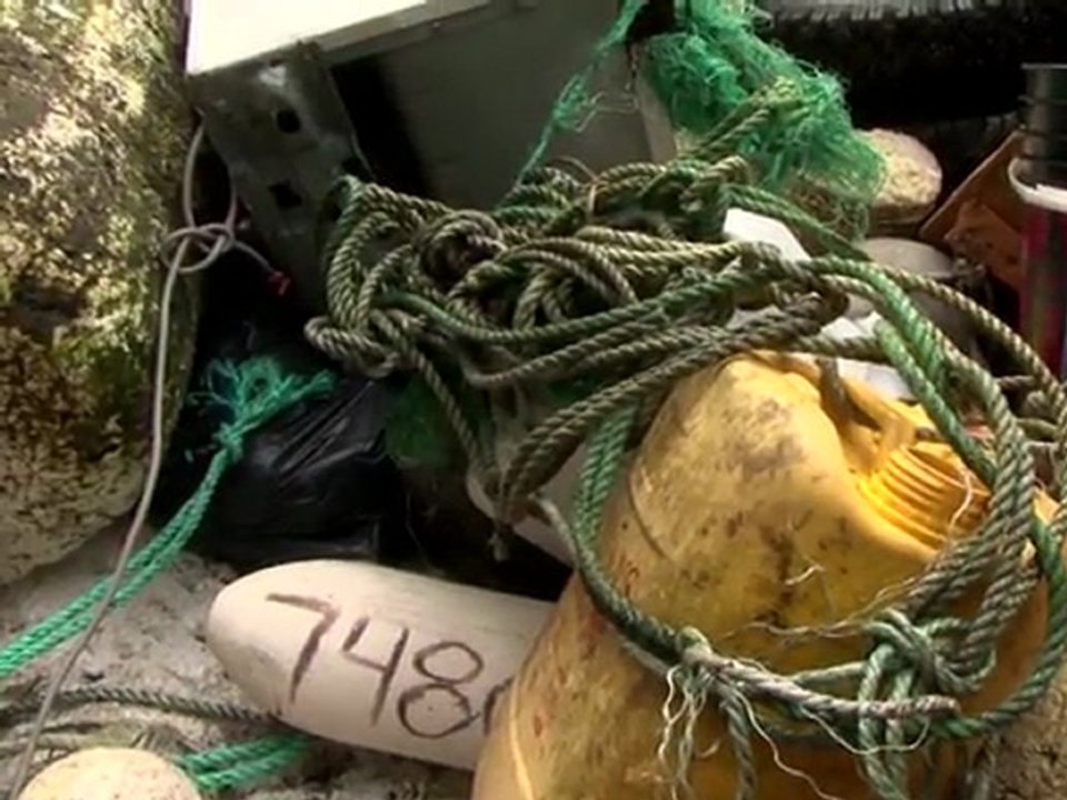 Des débris du tsunami japonais s'échouent en Amérique