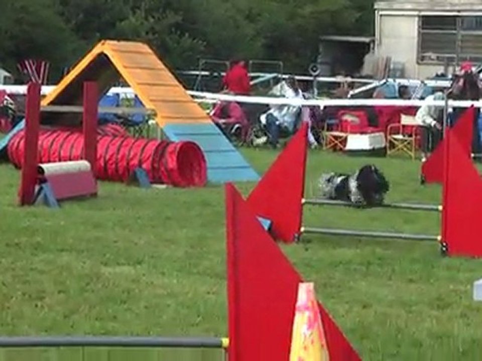 concours agility c'ven fleury2011
