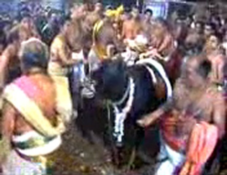 SRI PONNAMBALAWARNESWARAR TEMPLE Kumbabishakam 2008 4