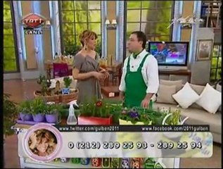 GÜLBEN - Erkan Şamcı  ile Çam Ağaçları ve Tek Kullanımlık Eşyaların Sağlığa Zararları 27.12.11