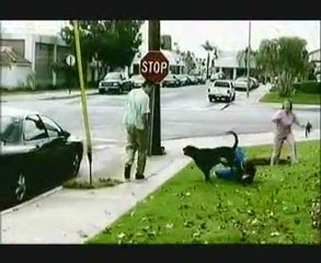 Mi lenne, ha 14 milliárdan lennénk a Földön?