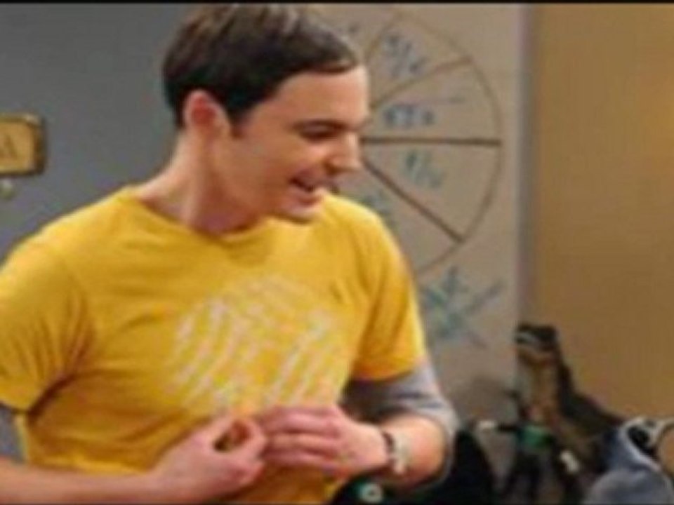 Watch Big Bang Theory S05E09 - The Ornithophobia Diffusion
