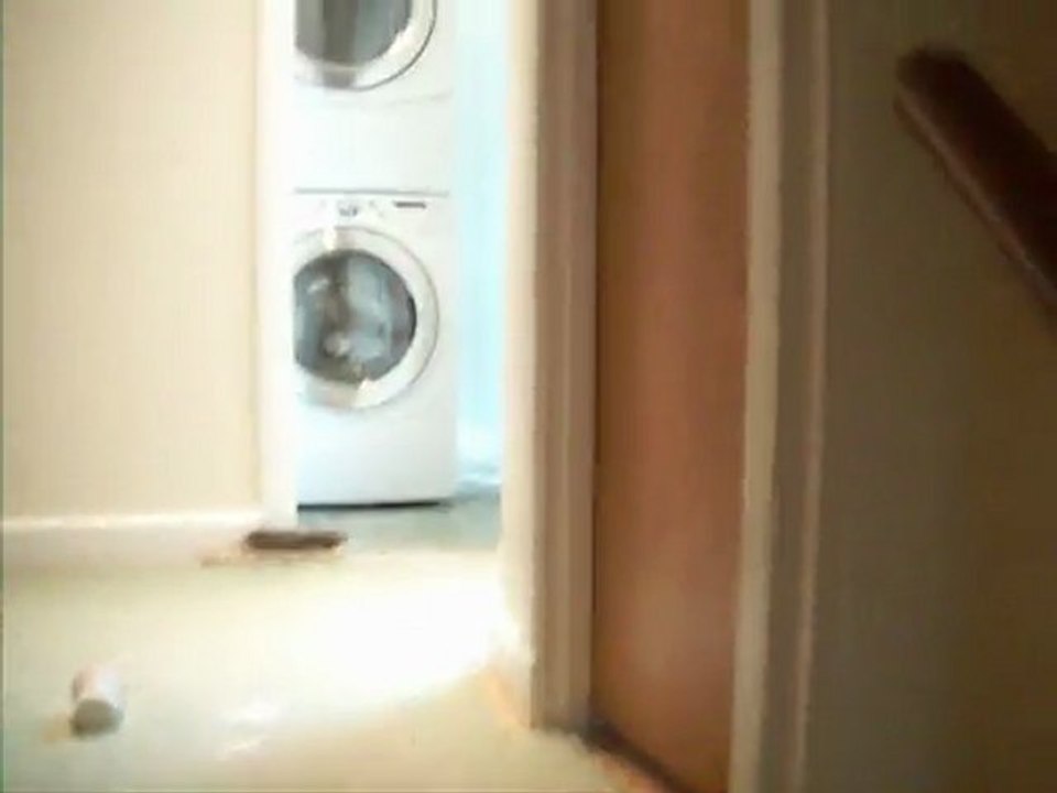 CANTON, MA. 1-781-355-2980.[ interior painting service ]