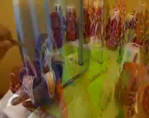 Colorful Candles-Beautiful