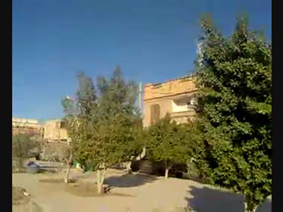 Tolga Algerie 06 جولة في طولقة