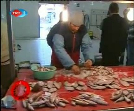 Haber Anadolu - 21.03.2009