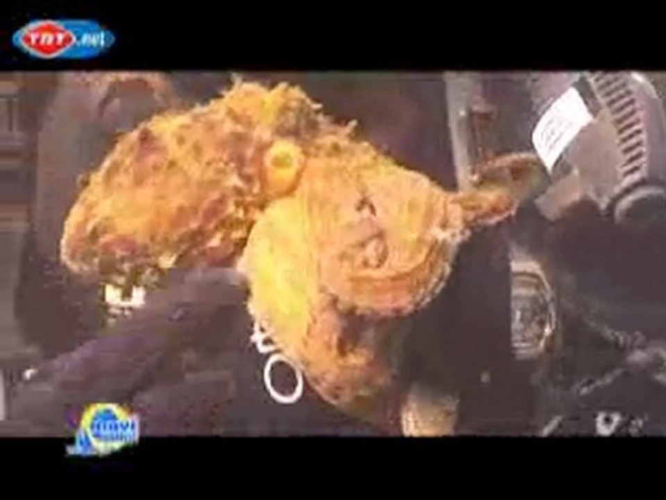 Mavi Tutku - 13.Bölüm